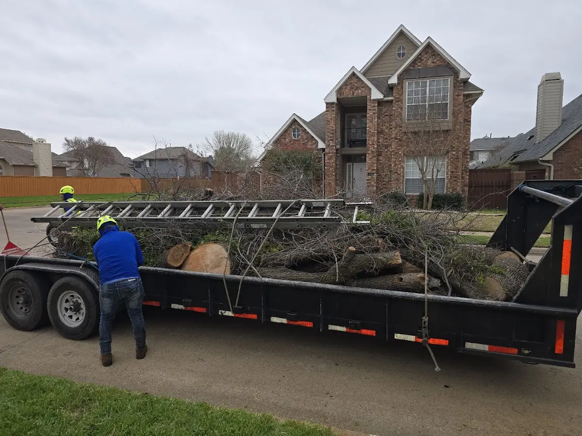 Expert Tree Pest Control with proper safety equipment in Tomah
